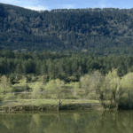 Photo du lac du camping InNature