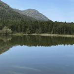 Photo paysage du camping InNature