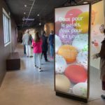 Photo de la chocolaterie Nougalet - Aude - Séminaire - Team building - 6