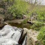 Photo du Moulin à papier 3